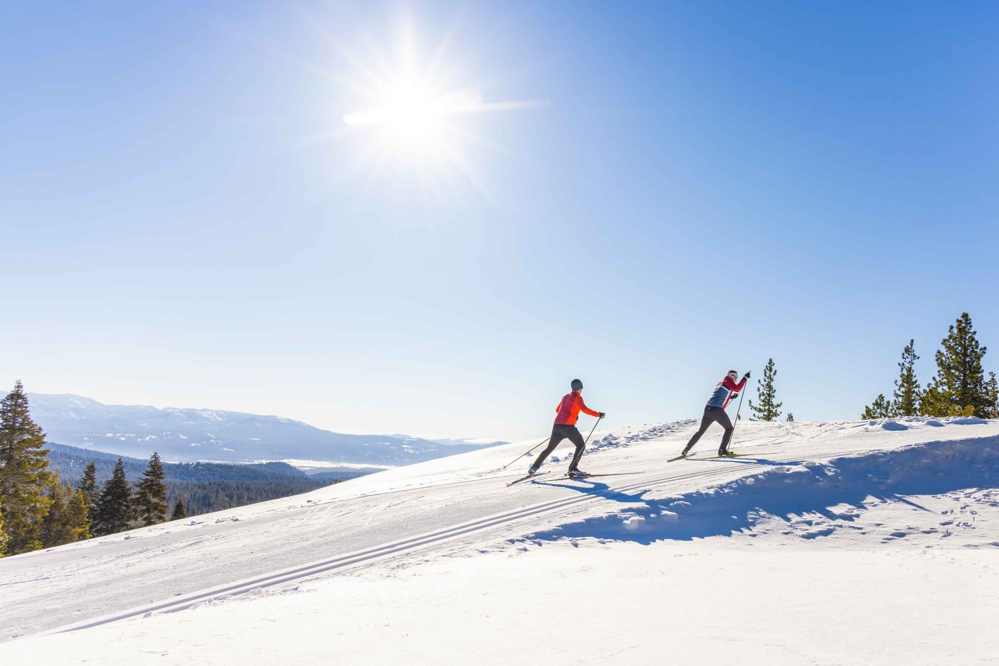 XC skiers going up a hill