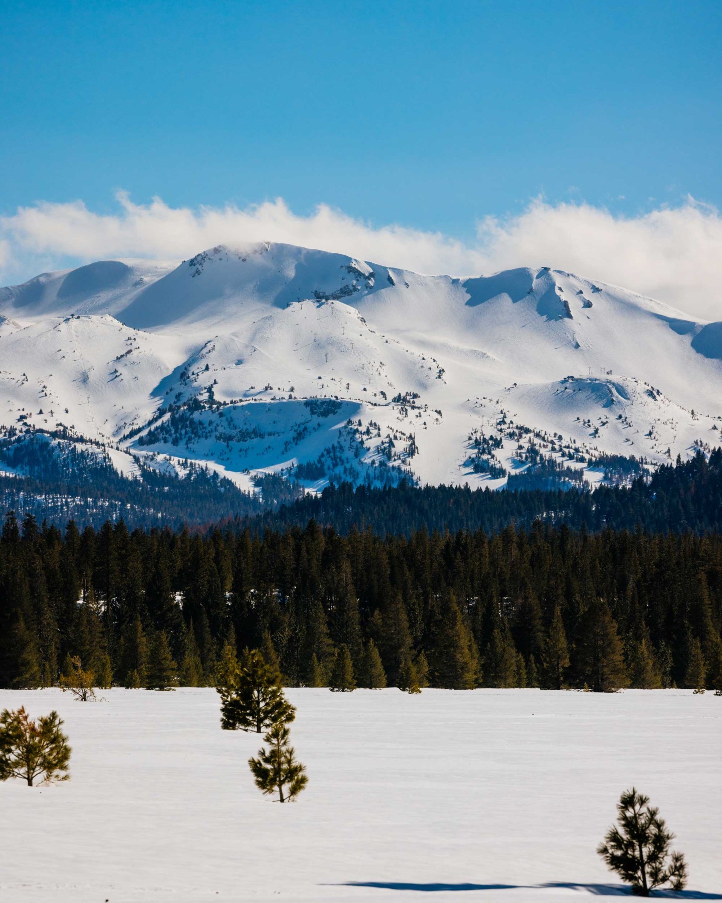 Mammoth Mountain view