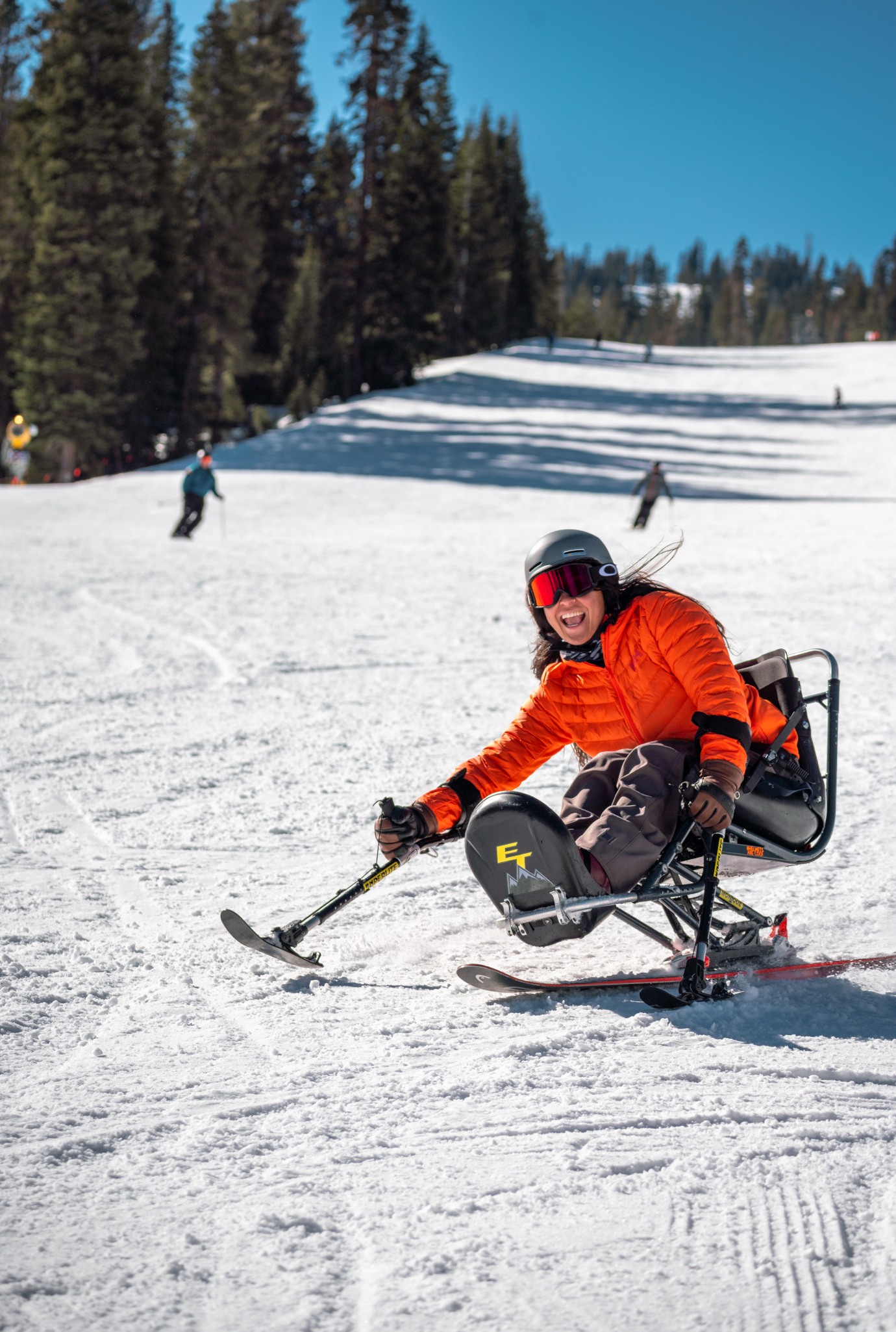 Sit Skier