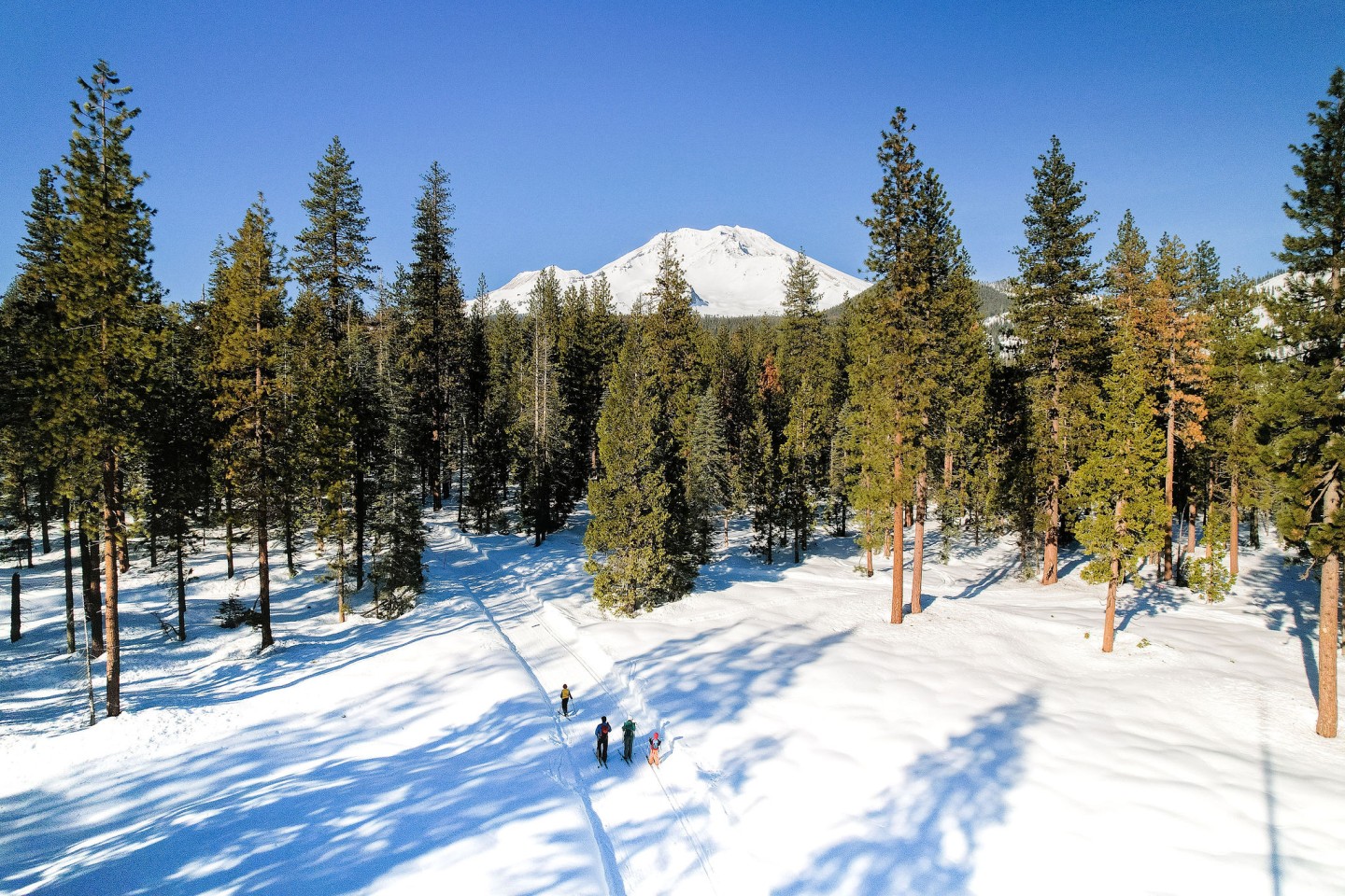 Drone shot of Nordic Skiers